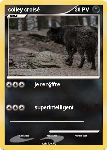 Pokemon colley croisé