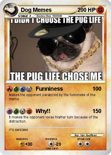 Pokemon Dog Memes