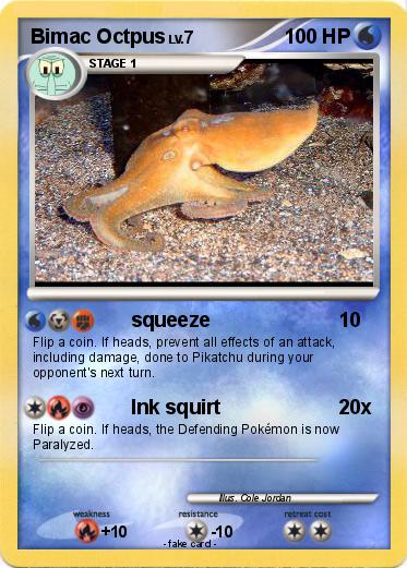 Pokemon Bimac Octpus