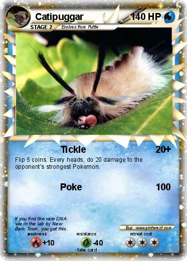 Pokemon Catipuggar