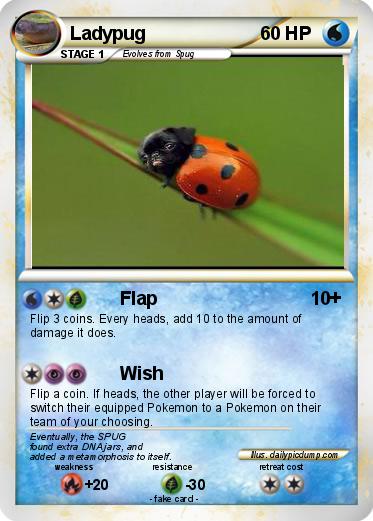 Pokemon Ladypug