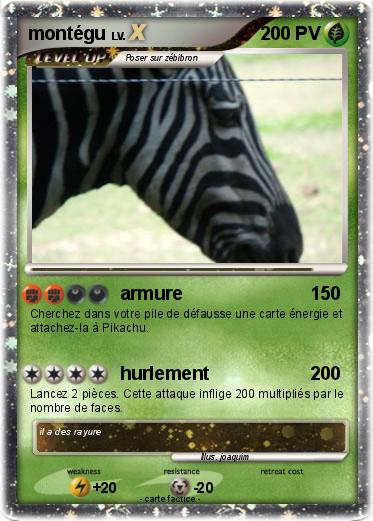 Pokemon montégu