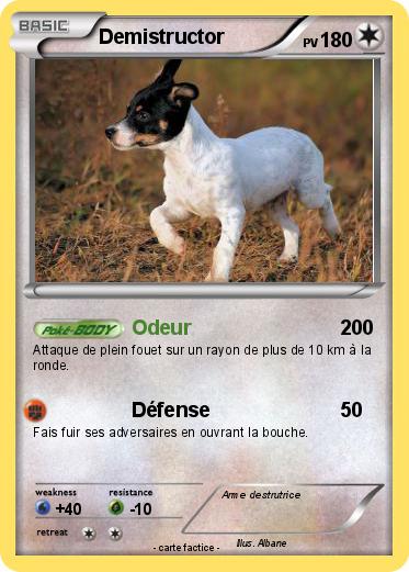 Pokemon Demistructor