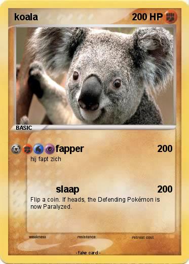 Pokemon koala