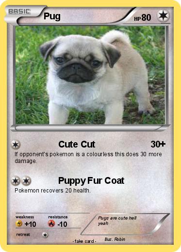 Pokemon Pug