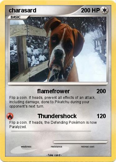 Pokemon charasard