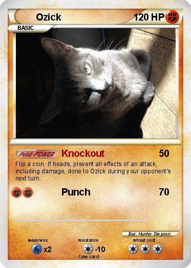 Pokemon Ozick
