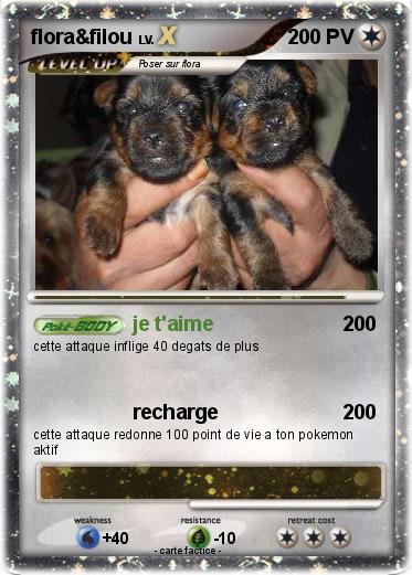 Pokemon flora&filou
