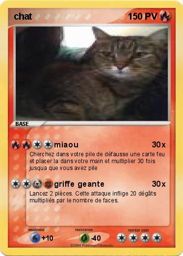 Pokemon chat