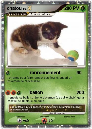 Pokemon chatou