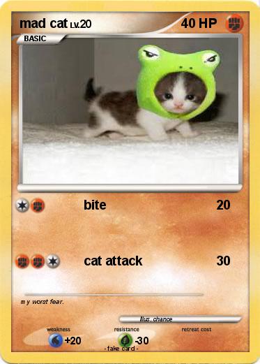 Pokemon mad cat