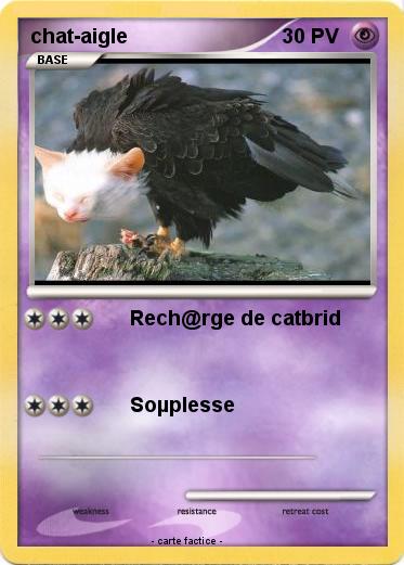 Pokemon chat-aigle