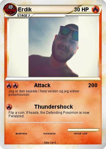 Pokemon Erdik