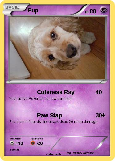 Pokemon Pup