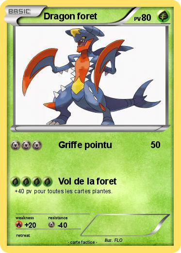 Pokemon Dragon foret