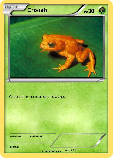 Pokemon Crooah