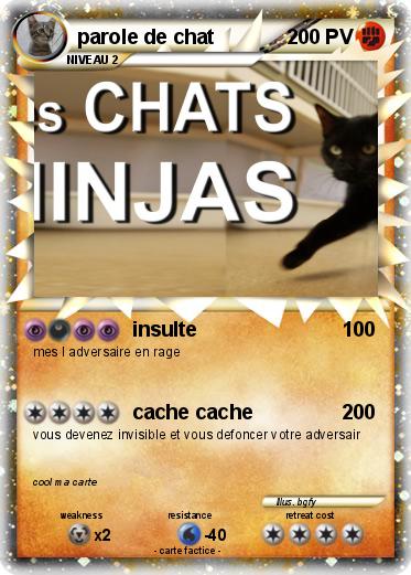 Pokemon parole de chat