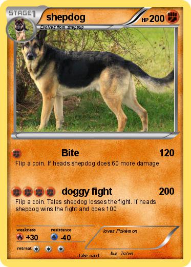 Pokemon shepdog