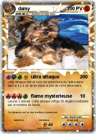 Pokemon daisy