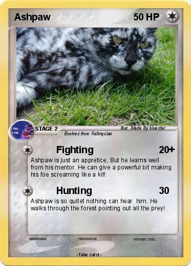 Pokemon Ashpaw