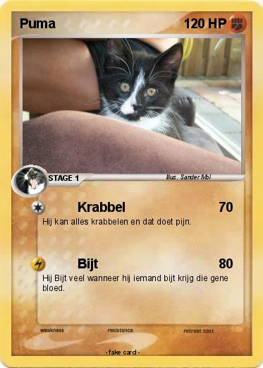Pokemon Puma