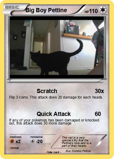 Pokemon Big Boy Pettine
