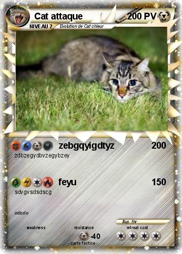 Pokemon Cat attaque