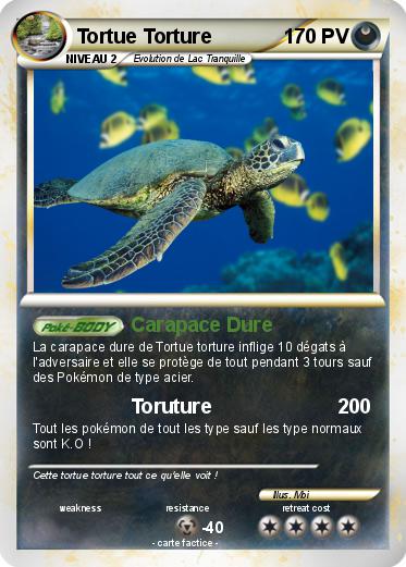 Pokemon Tortue Torture