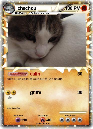 Pokemon chachou