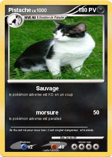 Pokemon Pistache