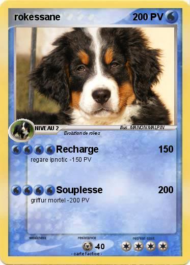 Pokemon rokessane