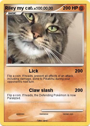 Pokemon Riley my cat