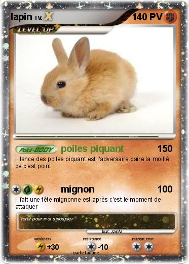 Pokemon lapin