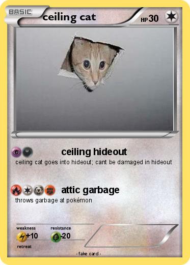 Pokemon ceiling cat