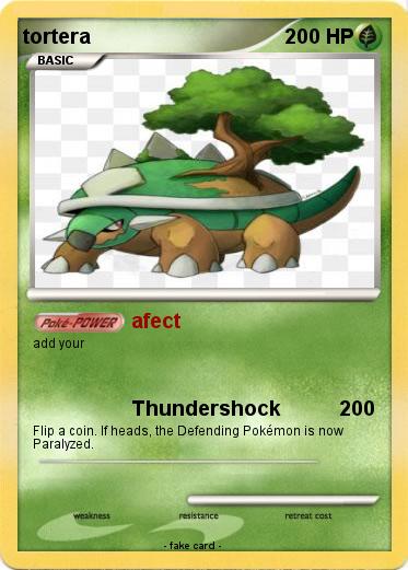 Pokemon tortera