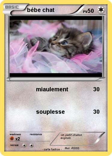 Pokemon bébe chat