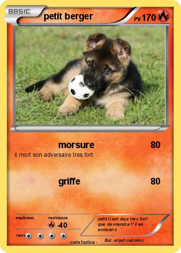 Pokemon petit berger