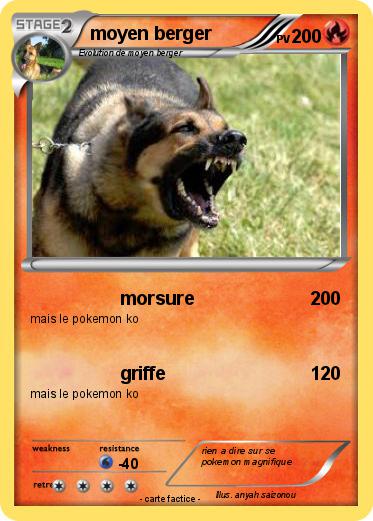 Pokemon moyen berger