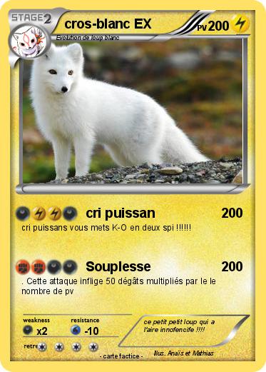 Pokemon cros-blanc EX