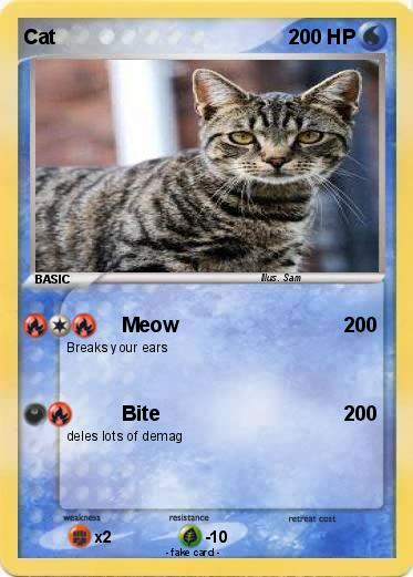 Pokemon Cat