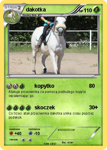 Pokemon dakotka