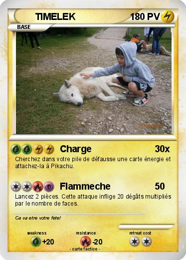 Pokemon TIMELEK