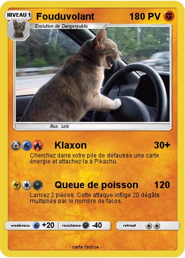 Pokemon Fouduvolant
