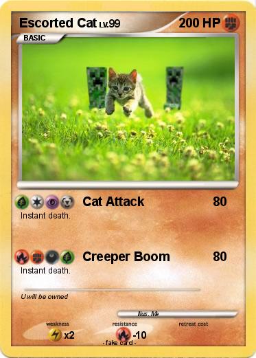 Pokemon Escorted Cat