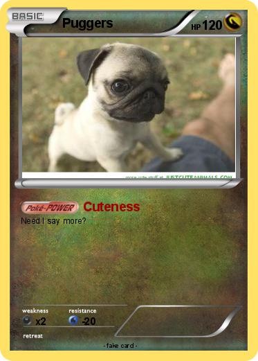 Pokemon Puggers