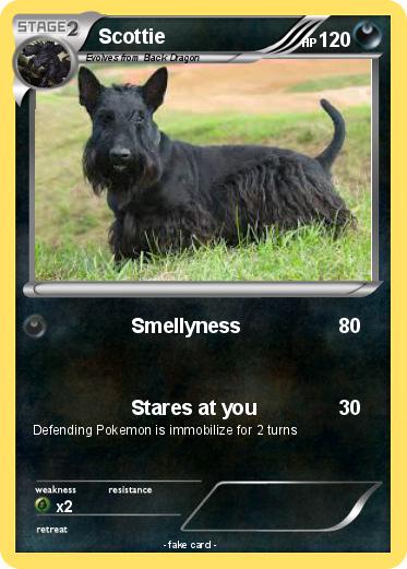 Pokemon Scottie
