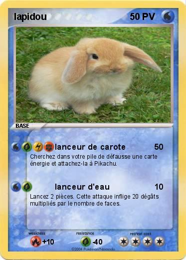 Pokemon lapidou