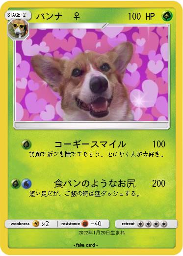 Pokemon パンナ　♀