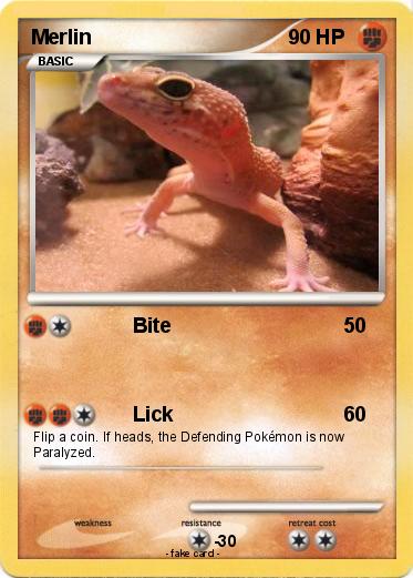 Pokemon Merlin