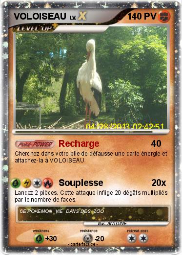 Pokemon VOLOISEAU